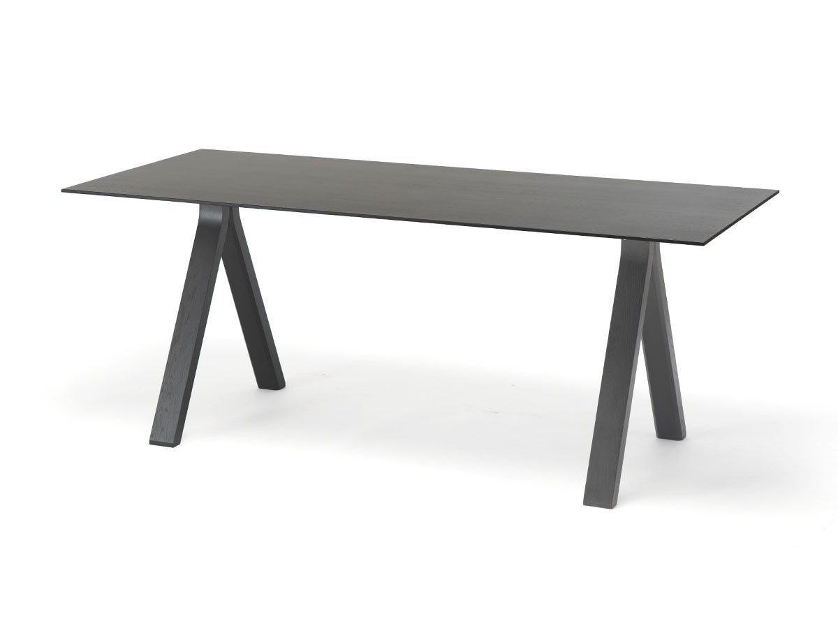 Spectrum ST 190 Pure Oak - vue 15