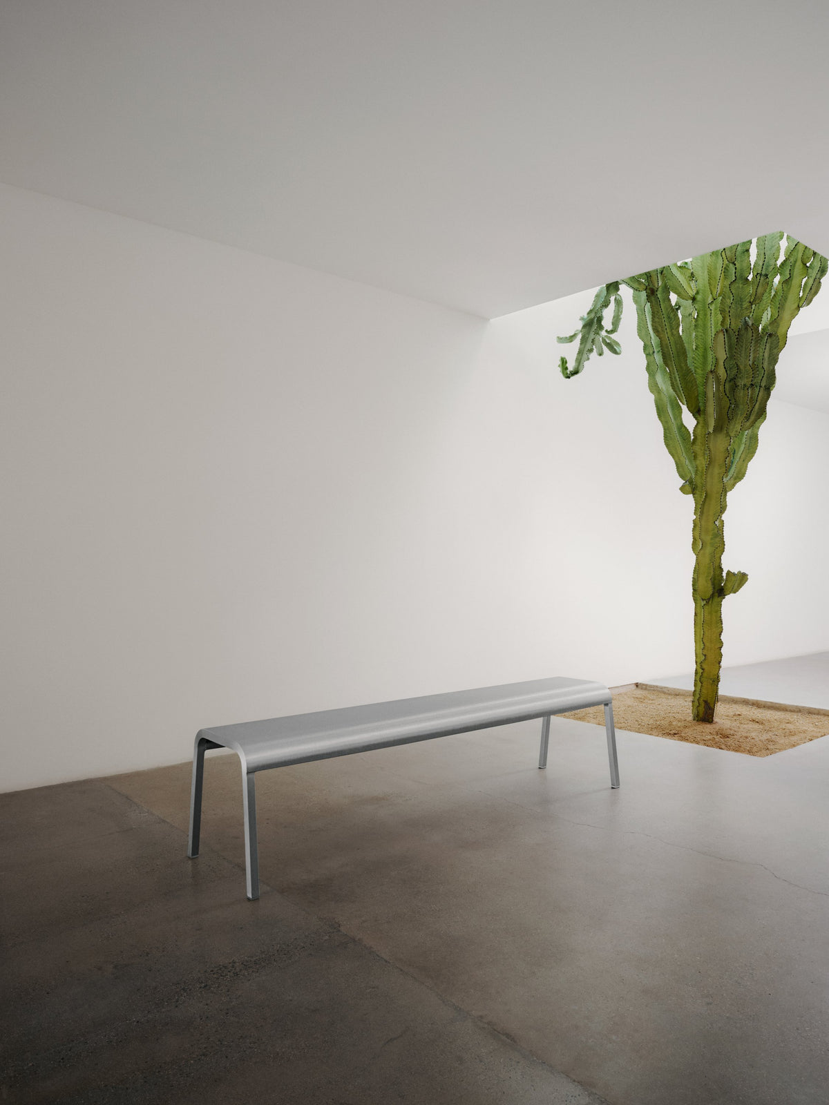 Emeco ZaZa bench in a gallery with a cactus