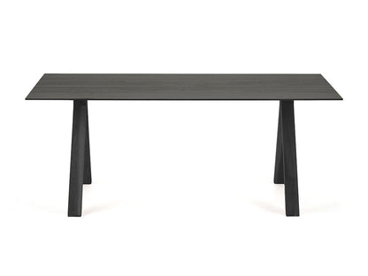 Spectrum ST 190 Pure Oak - vue 2
