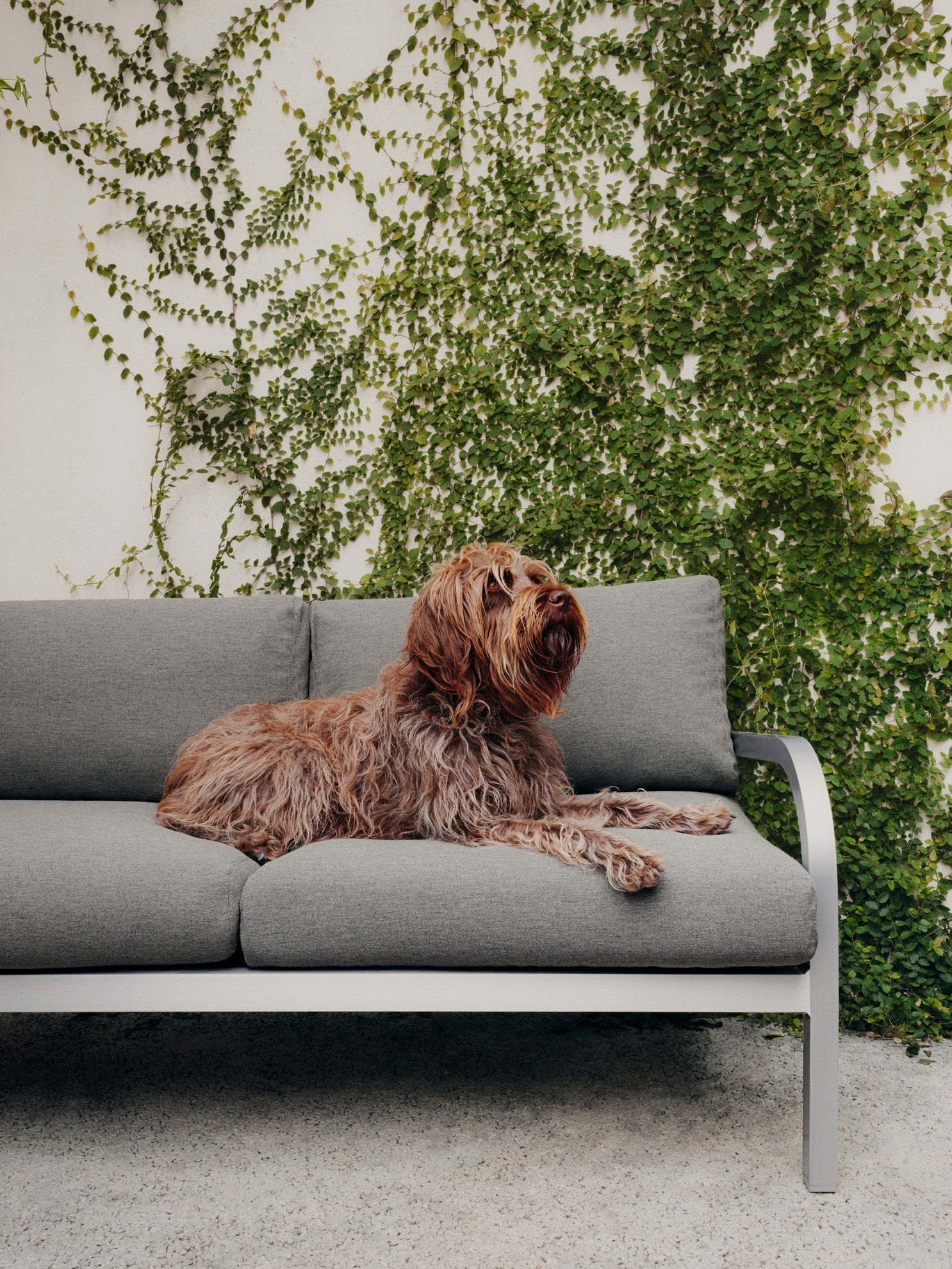 Navy Lounge — Emeco, collection Jasper Morrison