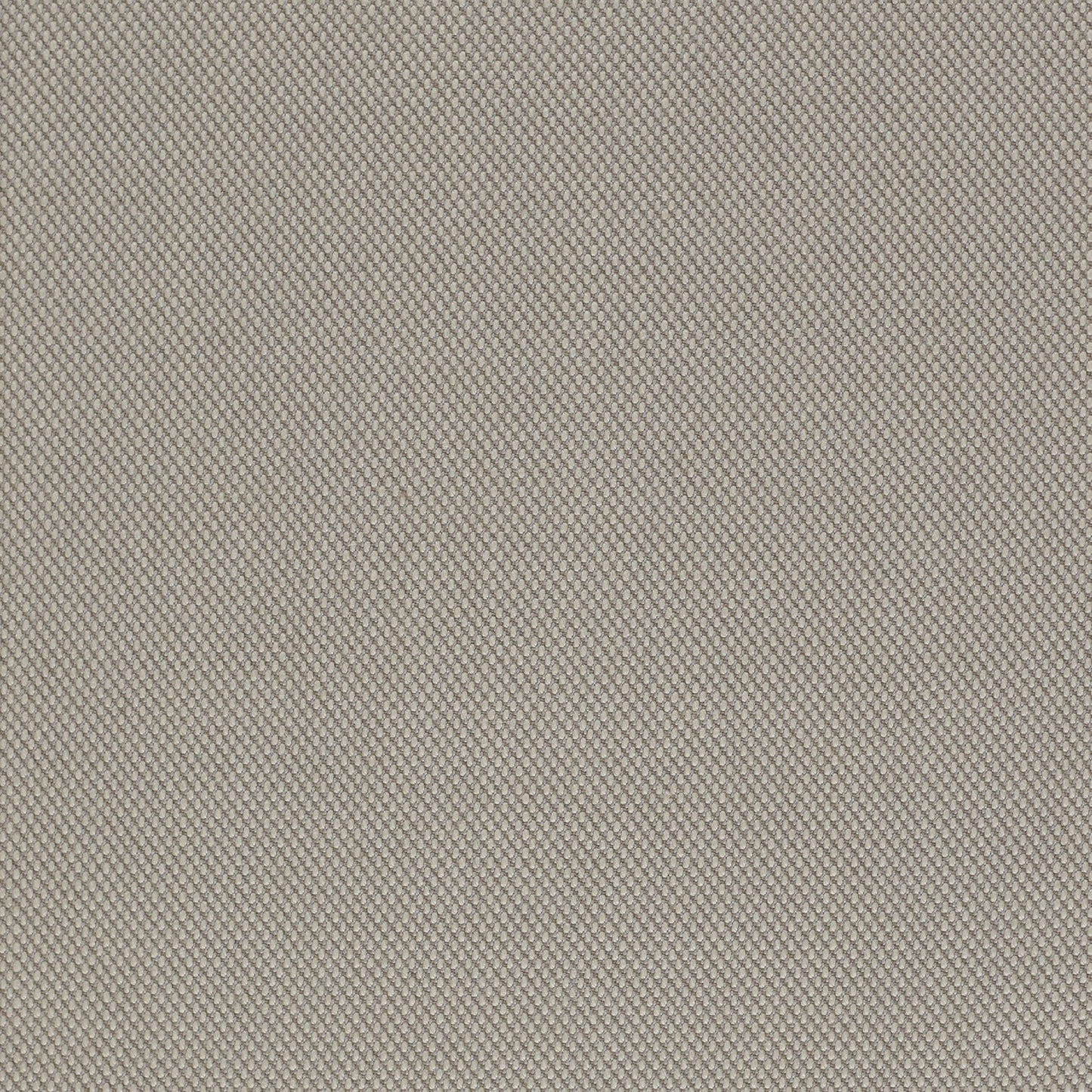 205