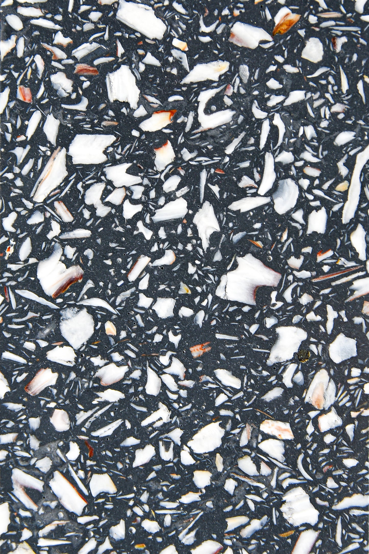 Tabletop Ostrea anthracite detail texture — marine terrazzo, recycled shells | Antifer