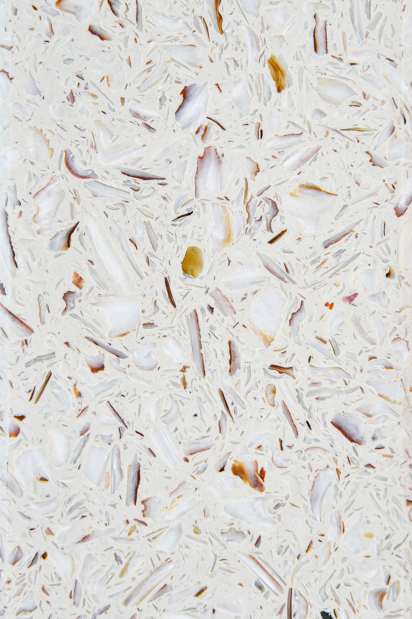Tabletop Ostrea Saint-Jacques detail texture — marine terrazzo, recycled shells | Antifer