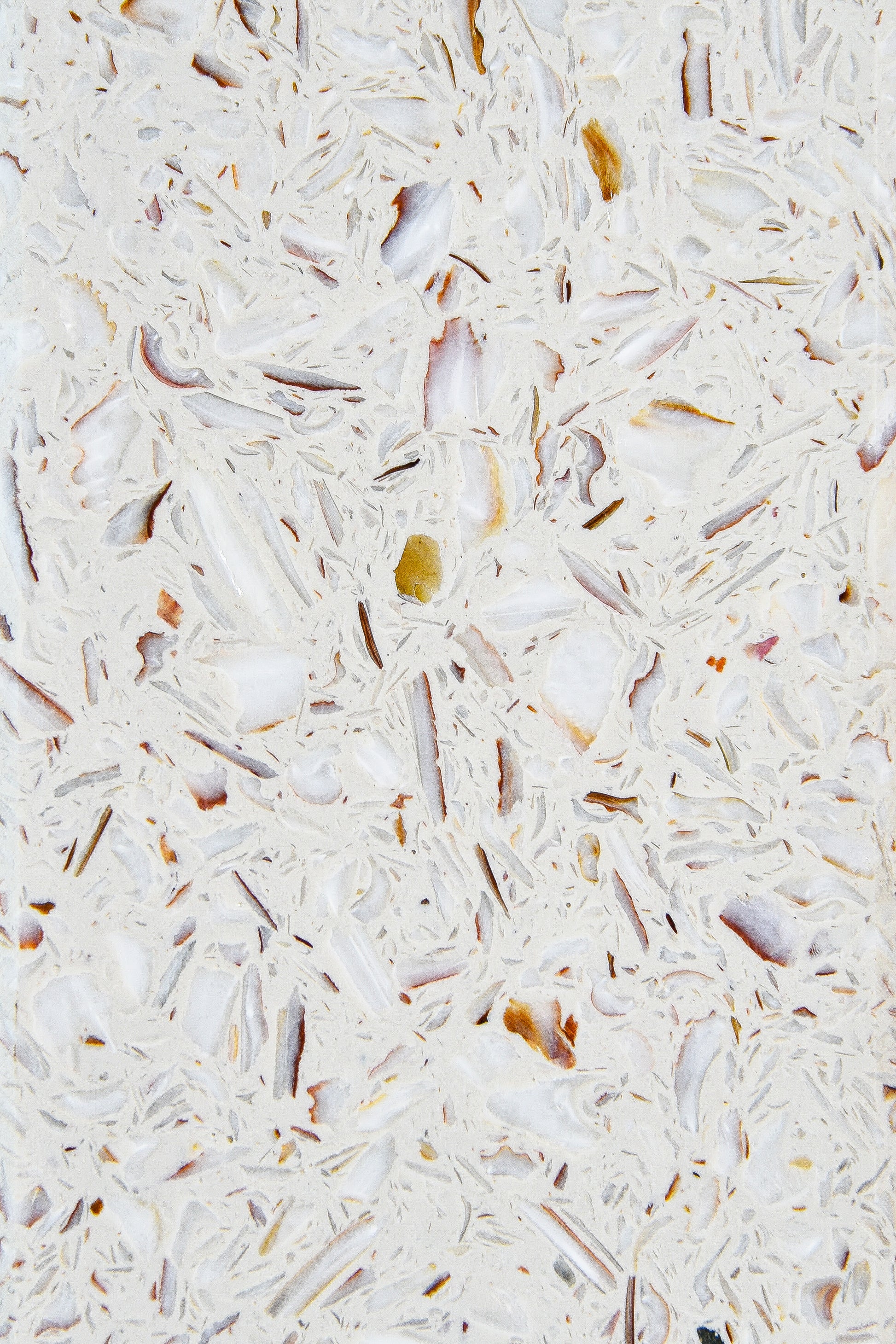 Tabletop Ostrea Saint-Jacques detail texture — marine terrazzo, recycled shells | Antifer