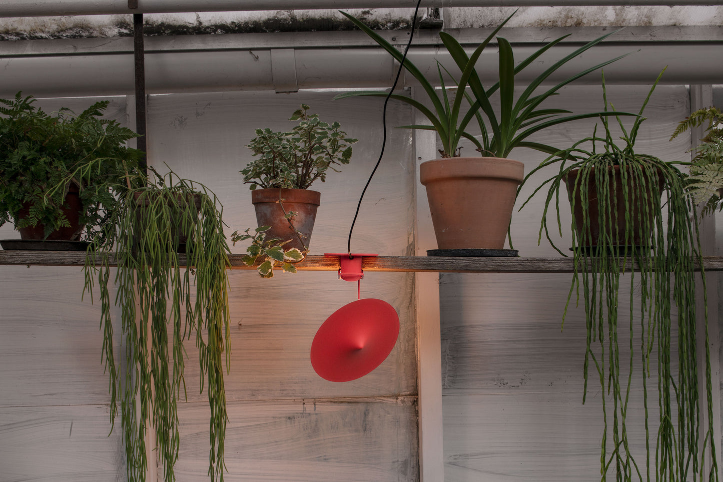 gros plan sur Lampe multifonction w153 Île Wästberg design Inga Sempé posée sur une planche dans une serre 