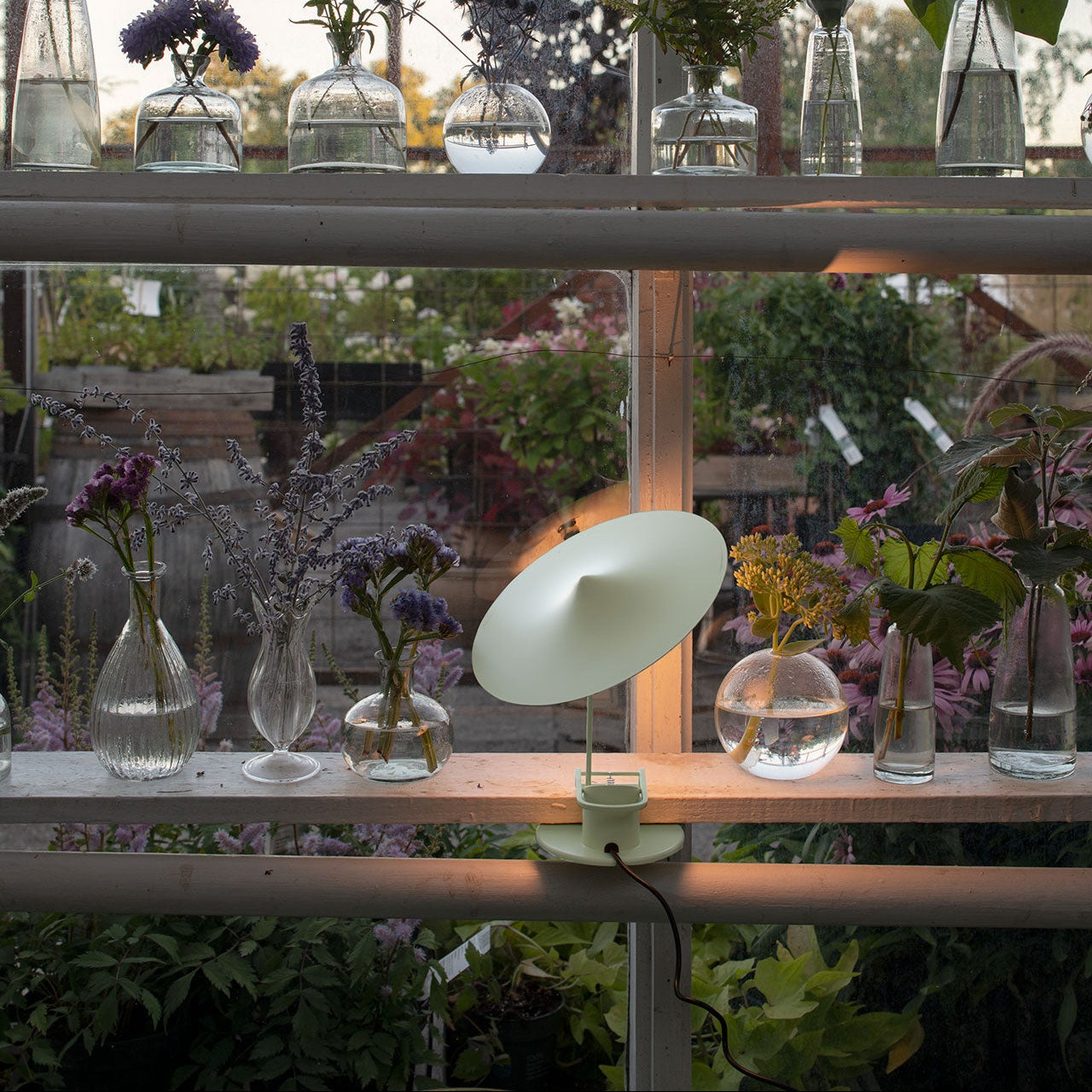 Lampe à pince w153 Île Inga Sempé couleur verte clipsée sur une étagère murale à côté de plantes