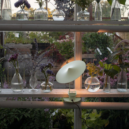 Lampe à pince w153 Île Inga Sempé couleur verte clipsée sur une étagère murale à côté de plantes